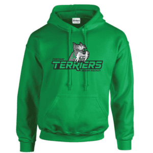 G185 Gildan Heavy Blend 8 oz., 50/50 Hooded Sweatshirt - Irish Green