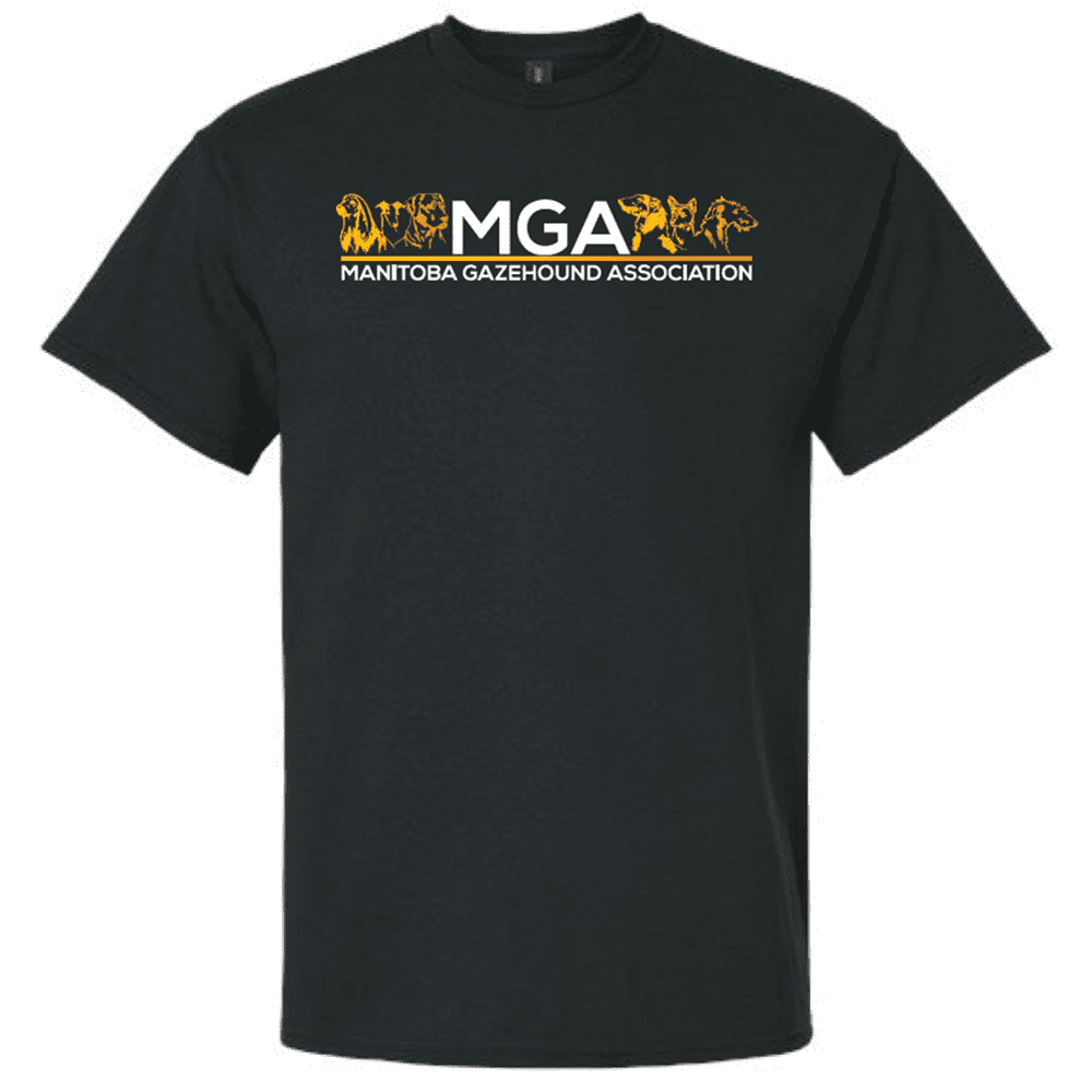 G200 Gildan Ultra Cotton T-Shirt - Black