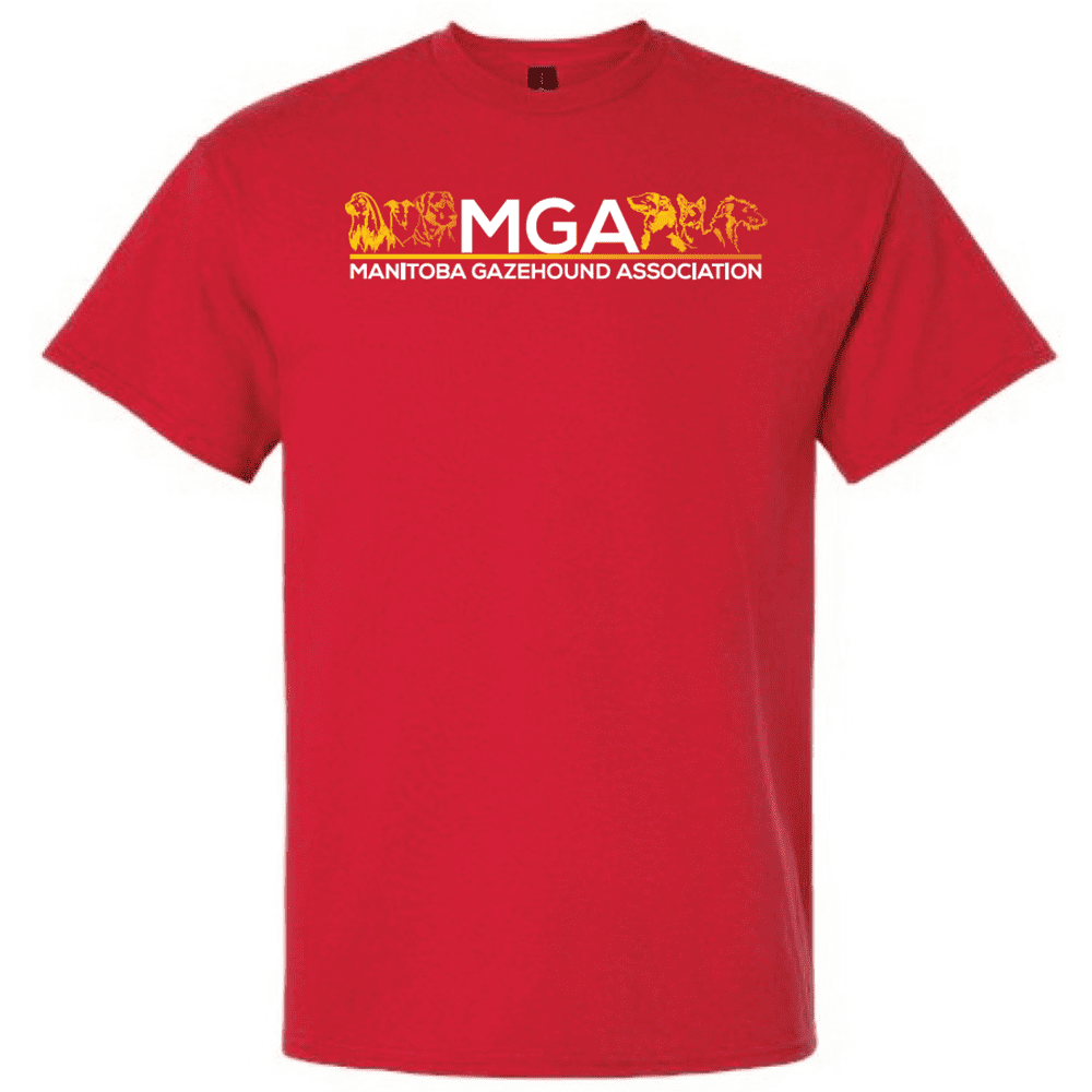 G200 Gildan Ultra Cotton T-Shirt - Red