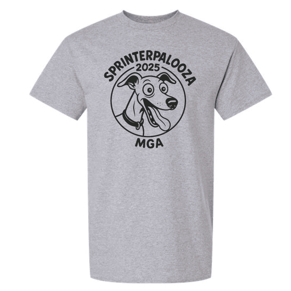 G200 Gildan Ultra Cotton T-Shirt - Sport Grey